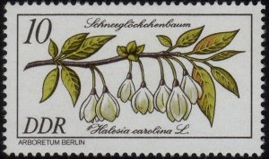 1981,  Germany DDR 10pf,  MNH,  Sc 2152