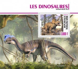 Togo - 2020 Triceratops Dinosaurs - Stamp Souvenir Sheet - TG200242b