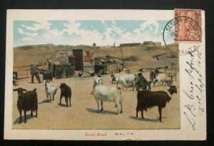 1906 Sliema Malta Picture Postcard Cover to Boston Ma USA Goat Shed