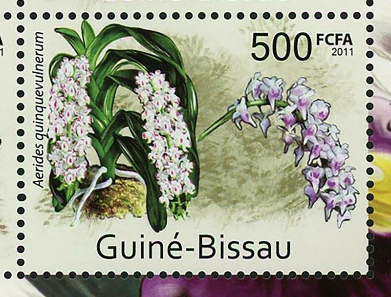 Orchids Stamp Cattleya Chocoensis Aerides Guinquevulnerum S/S MNH #5542-5545