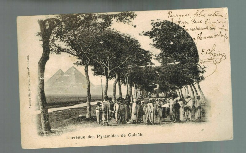 1903 Zanzibar picture postcard cover to Rosario Argentina Pyramids of Giza Egypt