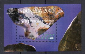 INDONESIA - MINIATURE SHEET - MINERALS - PETRIFIED WOOD - 1998 -