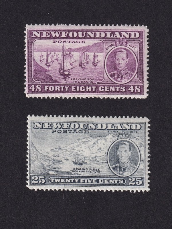 Newfoundland, Scott,  242 and 243, Mint NH, Small spot on 243 rear(pic)