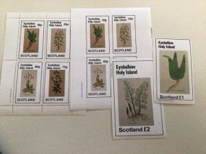 Holy Island Scotland Flowers mint never hinged stamps sheets Ref R49090