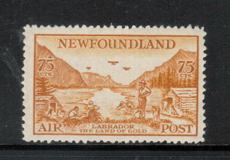 Newfoundland #C17 Mint Fine+ Lightly Hinged