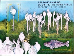 2024- TAAF/SFAT -FRENCH SOUTHERN TERRITORIES- MARINE LIFE         2V  MNH **T