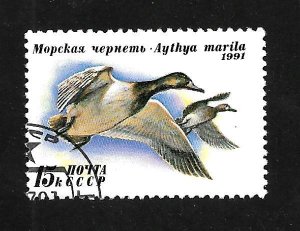 Russia - Soviet Union 1991 - CTO - Scott #6010