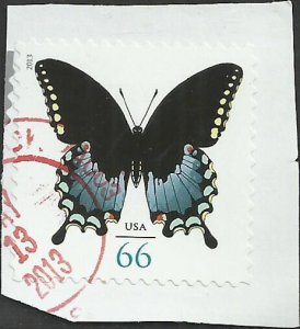 # 4736 USED SPICEBUSH SWALLOWTAIL