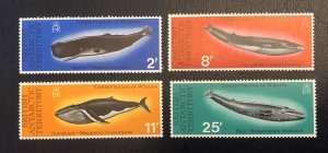 Tangstamps: British Antarctic Sc #64-67 SG 79-82 MNH VF 1977 Whale