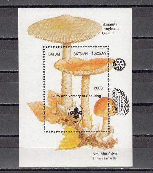 Batum, 200 Cinderella issue. Mushrooms s/sheet BLACK o/p 90th Scout Anniversary.