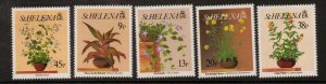 ST.HELENA SG625/9 1993 FLOWERS MNH