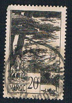 French Morocco 155 Used Cedars (BP1398)