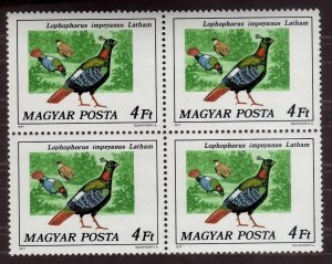 1977 Hungary Block of 4 Impeyan pheasant, 4Ft Sc 2475, MNH