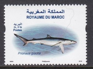 Morocco, Fauna, Fishes, Sharks MNH / 2016