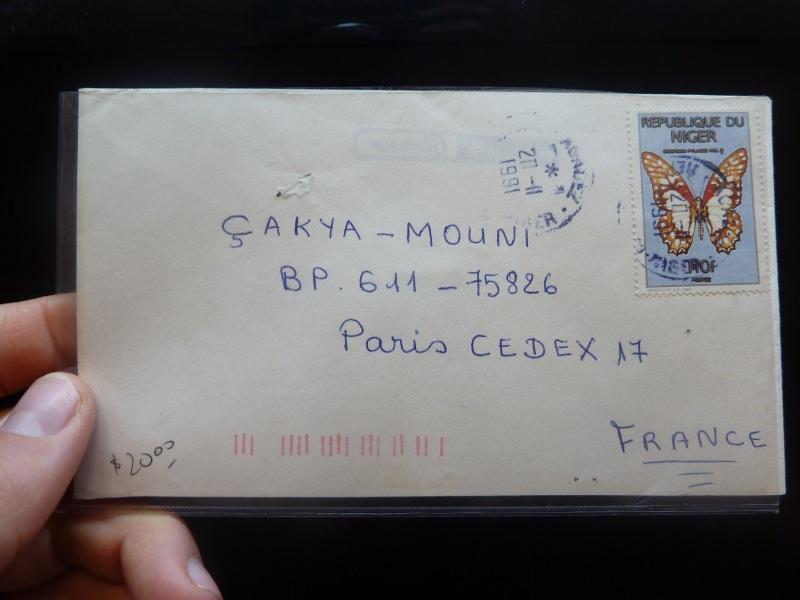 Niger 110F Butterfly on 1991 cover to France (40bee)