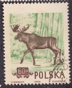 Poland 661 1955 Used