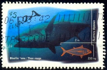 Fish, Bluefin Tuna, Canada stamp SC#1644 Used