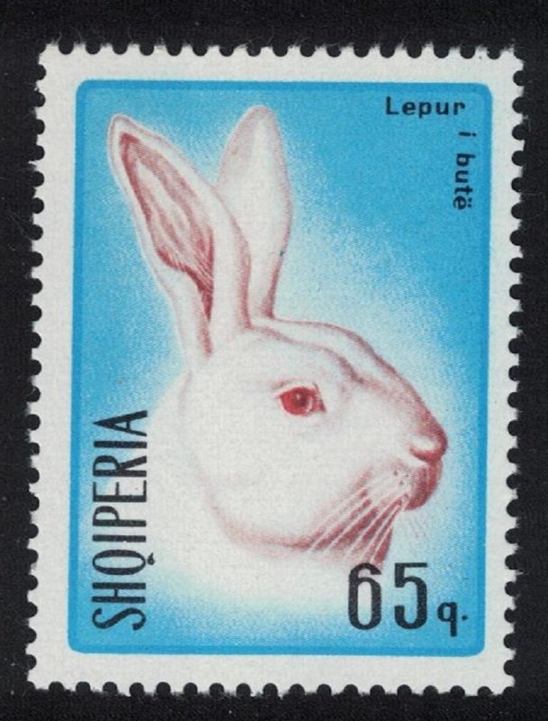 Albania Head of white rabbit 65q 1967 MNH SG#1159