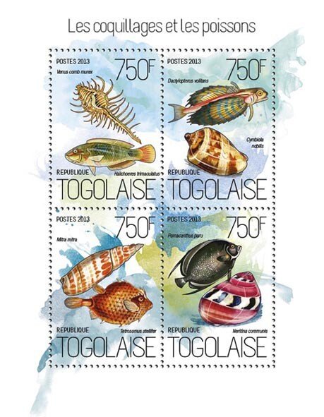 TOGO - 2013 - Shells & Fish - Perf 4v Sheet - Mint Never Hinged