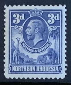NORTHERN RHODESIA 1925 3d  SG5 MOUNTED  MINT