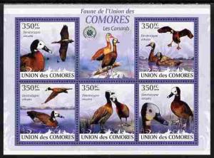 Comoro Islands 2009 Ducks perf sheetlet containing 5 valu...