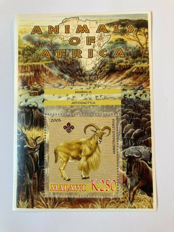 2005 animals of africa barbary sheep  scouts maps wildebeests 