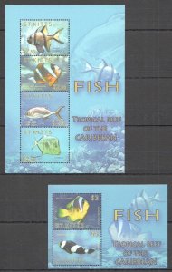 B0667 2010 St.Kitts Fish Marine Life Fauna Caribbean Tropical Reef Kb+Bl Mnh