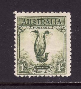 Australia-Sc.#141-unused light hinged 1sh Male Lyrebird-1932-