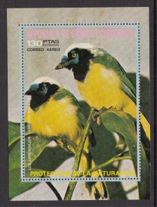 Equatorial Guinea South American Birds Souvenir Sheet MNH VF