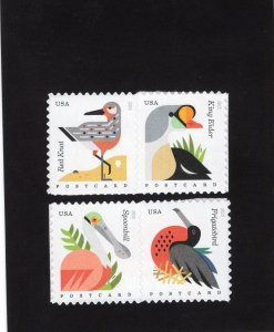 4991-4994 Costal Birds, MNH set/4
