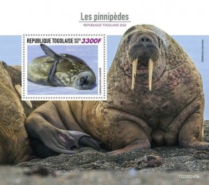 Togo Wild Animals Stamps 2020 MNH Seals Walrus Pinnipeds Marine Mammals 1v S/S