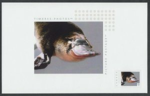 PLATYPUS = TOP CARD = Souvenir Part of picture stamp Sheet Canada 2014 [p75t04]