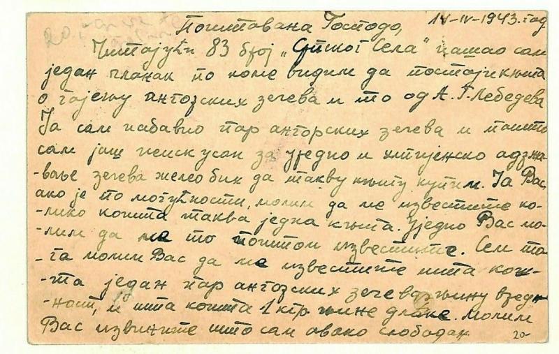 SERBIA WW2 Deletion OVERPRINT Postcard 1943 CENSOR {samwells-covers} MS4274