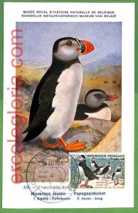 32941 - FRANCE - MAXIMUM CARD - 1961 - FAUNA, BIRDS-