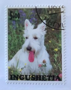 Russia, Ingushetia Illegal local Stamps 2000 - 5r, dog breed,  White Terrier