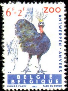 Belgium #B712-B717, Complete Set(6), 1962, Birds, Never Hinged