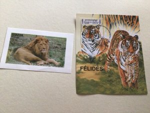 The Animal Kingdom Big Cats  Lion & Tiger stamp sheets Ref R49297