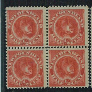 95766aA - CANADA: Newfoundland - STAMP: SG #  49 Block of 4 -  MINT   MNH dog