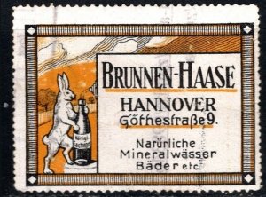 Vintage Germany Poster Stamp Fountain House Natural Mineral Water Baths Etc.