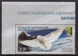 Russia, Fauna, Birds MNH / 2018