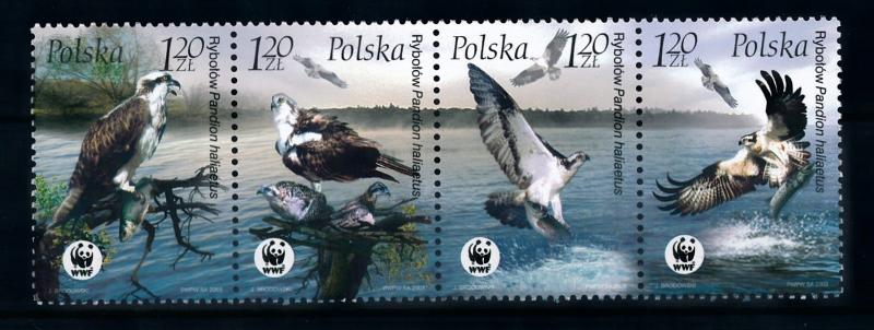 [78390] Poland 2003 Birds Vögel Oiseaux Fish Eagle WWF  MNH