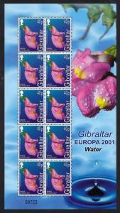 Gibraltar  #872  MNH  2001  Europa   sealife 40 p sheet of 10