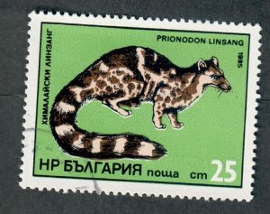 Bulgaria #3036 used single
