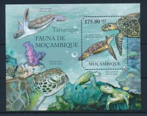 [31481] Mozambique 2011 Marine Life Sea Turtles MNH  Sheet