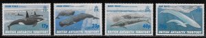 British Antarctic Territory Scott #'s 244 - 247 MNH