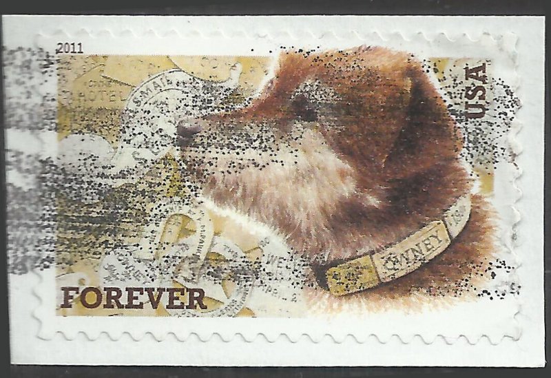 Forever Owney the Postal Dog single