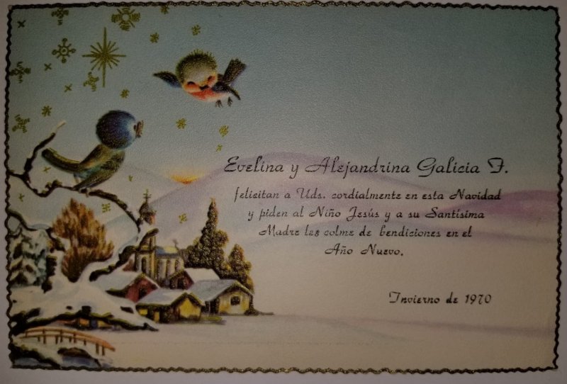 O) POSTAL CARD CHRISTMAS - WINTER - BIRDS AND LANDSCAPE, XF