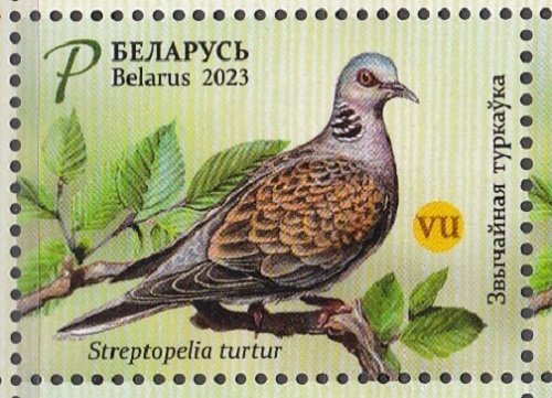 Belarus, Fauna, Birds - European Turtle Dove MNH / 2023
