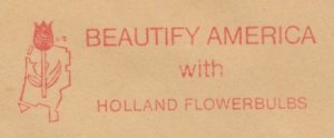 Meter cut Netherlands 1974 Flower - Tulip - Flowerbulbs