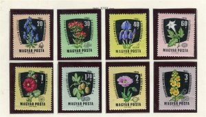 HUNGARY; 1962 early Medicinal Plants issue fine MINT SET